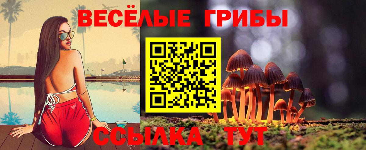 как найти   Вход с VPN  Горно-Алтайск  Псилоцибиновые грибы Psilocybe 